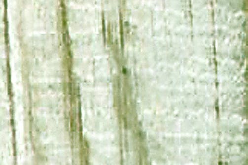 VARIANTER AV TERRASSEBORD I MYKT TRE: TRYKKIMPREGNERT FURU VARIANTER AV TERRASSEBORD I MYKT TRE: TRYKKIMPREGNERT FURU